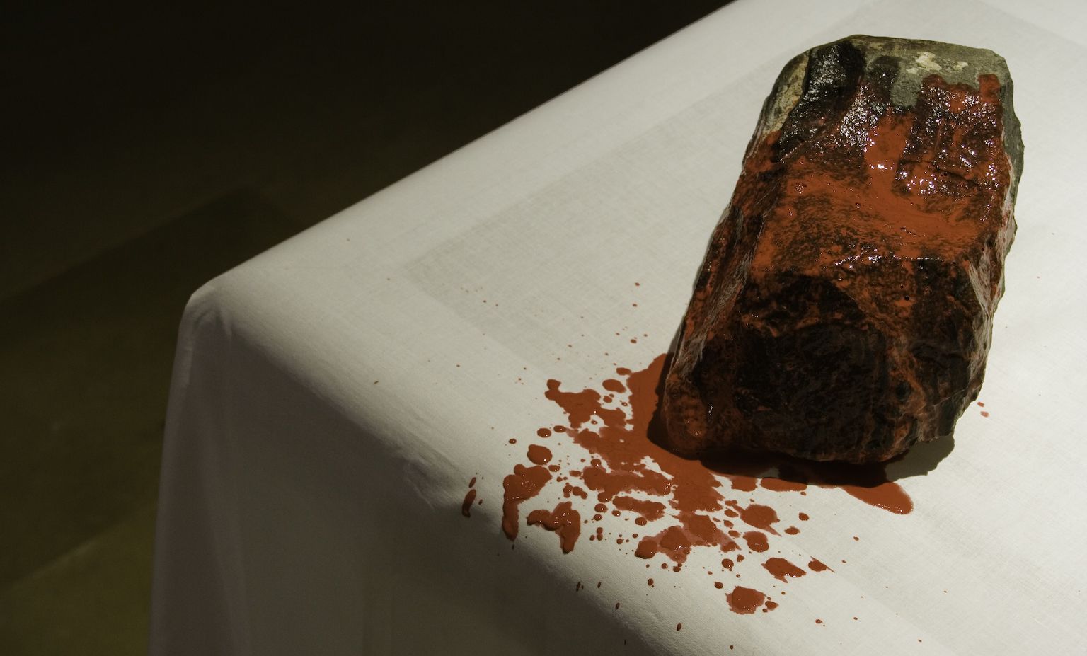 tania_bruguera_hg11low